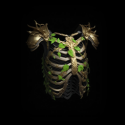 Path of Exile The Restless Ward 6-linked