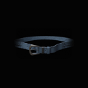 Path of Exile Bisco's Leash - Random
