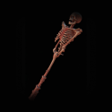 Path of Exile Replica Earendel's Embrace 3-Linked