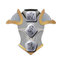 Diablo 2 Remaster 3 Diablo 2 Remaster Socket Mage Plate - Non-Ethereal