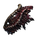 Path of Exile 2 1 Path of Exile 2 Altered Collarbone