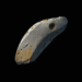 Path of Exile 20 Path of Exile Blacksmith's Whetstone