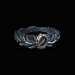 Path of Exile Auxium - Random