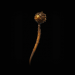 Path of Exile Quecholli 6-Linked