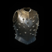 Path of Exile Bramblejack 5-Linked
