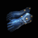 Path of Exile Southbound 4-linked