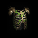 Path of Exile The Restless Ward 5-linked