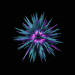 Path of Exile Blessing of Esh