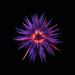 Path of Exile Blessing of Chayula