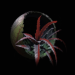 Path of Exile 20 Path of Exile Orb of Horizons