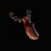 Path of Exile Perquil's Toe - Random