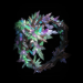 Path of Exile Icefang Orbit - Random
