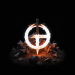 Path of Exile 20 Path of Exile Fertile Catalyst
