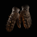 Path of Exile Ceaseless Feast 4-Linked
