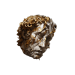 Path of Exile 2 500 Orb of Chance