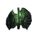 Path of Exile 2 Ancient Rib