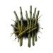 Path of Exile 2 Omen of Sinistral Crystallisation